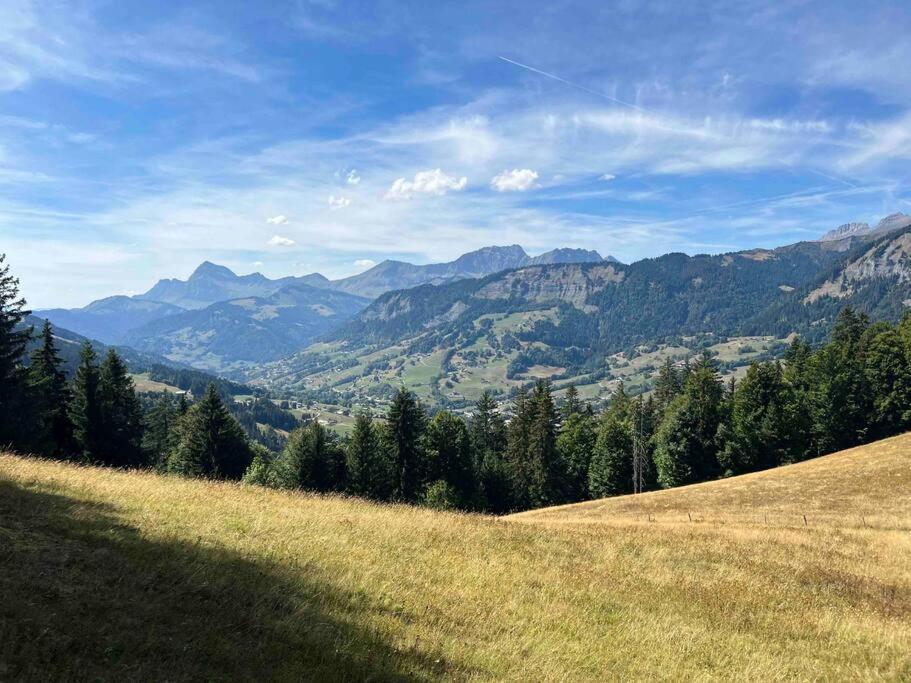 Praz Sur Arly - Proche Des Pistes Et De Megeve Daire Dış mekan fotoğraf